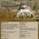 VII Jornades per a la SoStenibilitat 2012