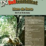 2013 cartel jornades sostenibilitat