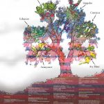 2015 cartell jornades