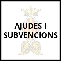 Subvenció dins de la Convocatòria de subvencions als ajuntaments i a les entitats esportives municipals dependents dels mateixos per a la promoció de l'esport, anualitat 2024.