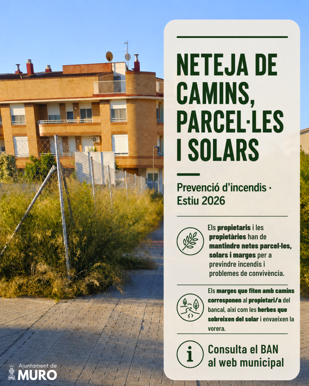 BAN municipal sobre la neteja de camins, parcel·les i solars