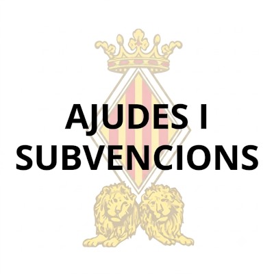 logo-entrades-ajudes-i-subvencions-nou